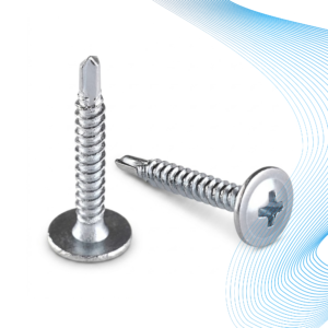 Wafer Head Screw