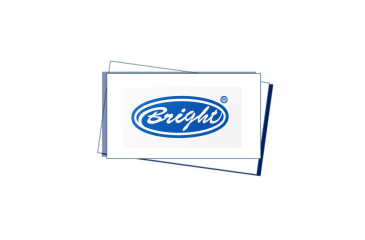logo BRIGHT